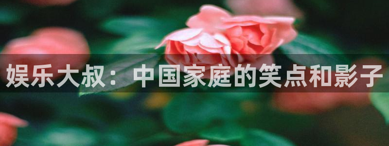 天辰娱乐注册：娱乐大叔：中国家庭的笑点和影子