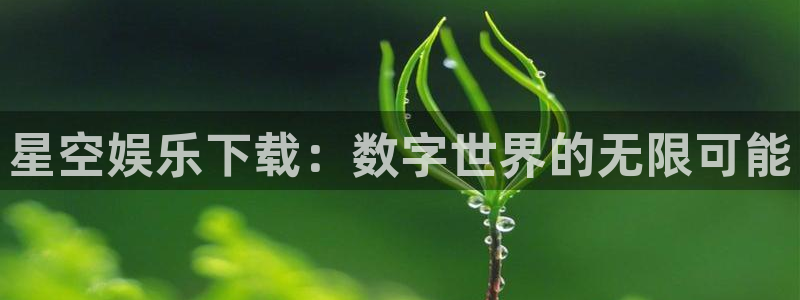 天辰平台：星空娱乐下载：数字世界的无限可能