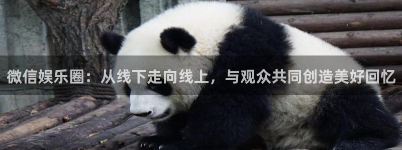 天辰娱乐登录：微信娱乐圈：从线下走向线上，与观众共同创造美好回忆