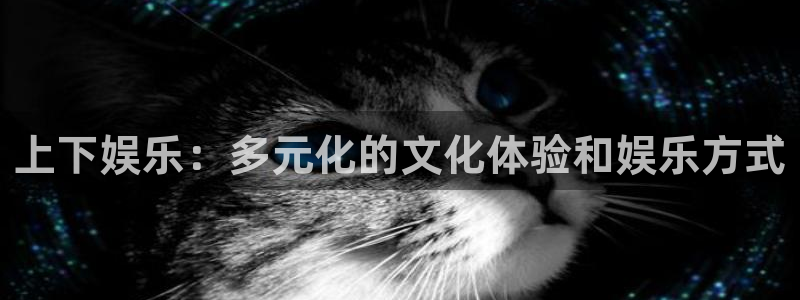 天辰娱乐登录：上下娱乐：多元化的文化体验和娱乐方式