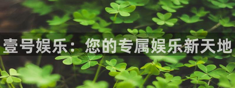 天辰平台：壹号娱乐：您的专属娱乐新天地