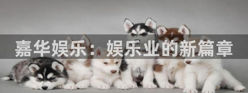天辰平台：嘉华娱乐：娱乐业的新篇章