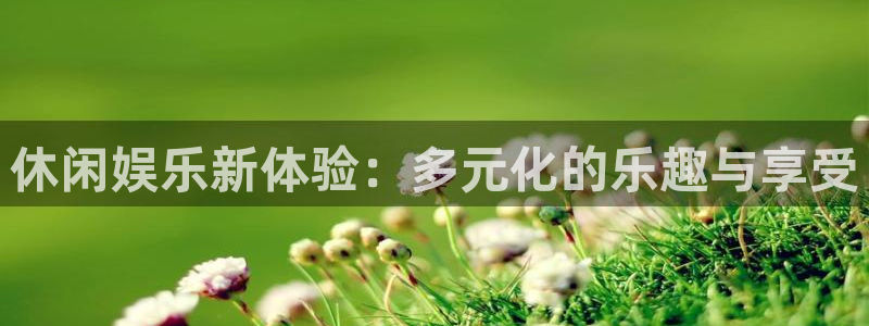 天辰娱乐：休闲娱乐新体验：多元化的乐趣与享受