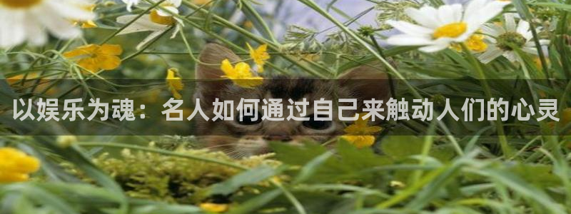 天辰娱乐注册：以娱乐为魂：名人如何通过自己来触动人们的心灵